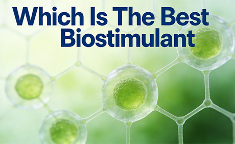 &iquest;Cu&aacute;l es el mejor bioestimulante?