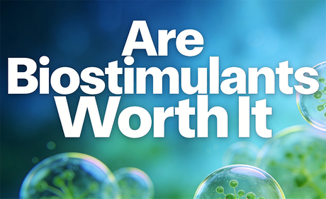 Os bioestimulantes valem a pena.jpg