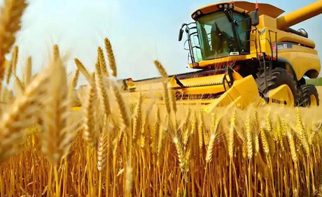 Jinmai Biotech accelera la trasformazione e l'innovazione nel 2025_01.jpg