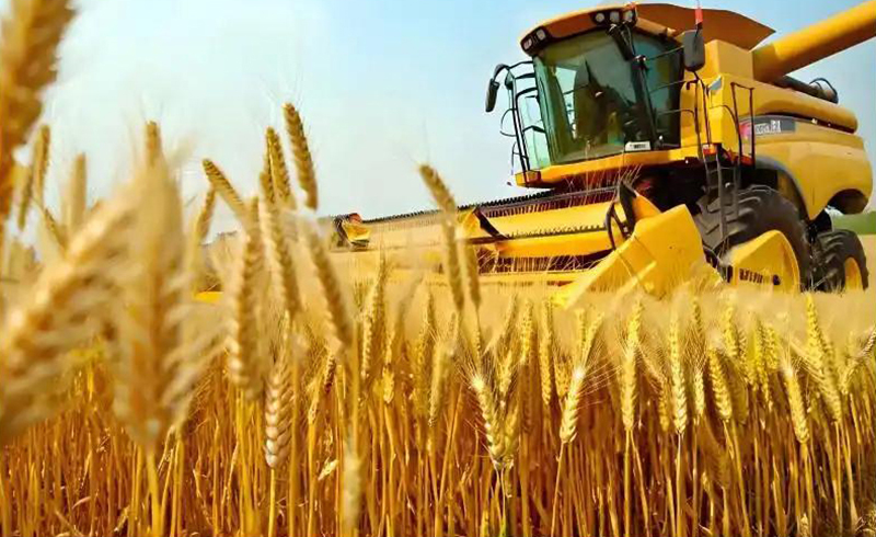 Jinmai Biotech, 2025년 제품 구조 조정, R&D 통합, 제조 업그레이드를 통해 전략적 변혁 가속화