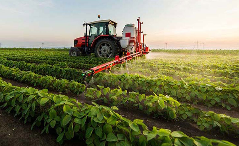 수용성 비료란 무엇입니까?