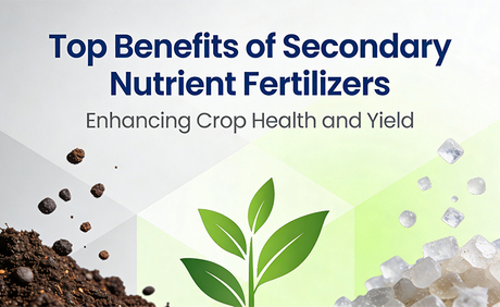 Principaux avantages des engrais &agrave; nutriments secondaires.jpg