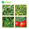 Fertilizante potenciador de floraci&oacute;n y fructificaci&oacute;n para el control del crecimiento del tomate