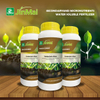ជីអ៊ីយ៉ុងស៊ីលីកុន