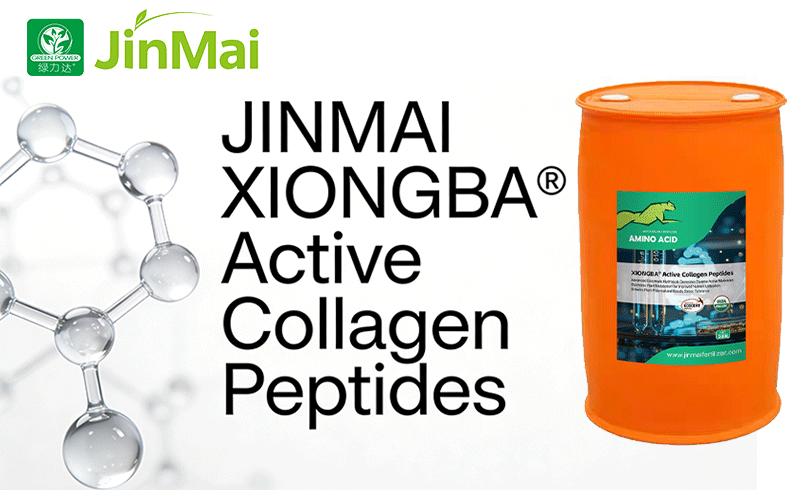 JINMAI XIONGBA&reg; Активные коллагеновые пептиды