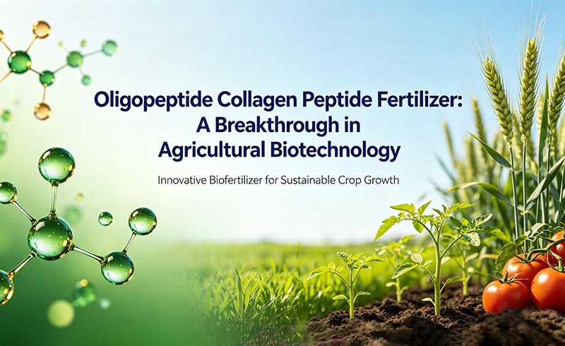 Fertilizzante oligopeptidico peptidico di collagene: una svolta nella biotecnologia agricola