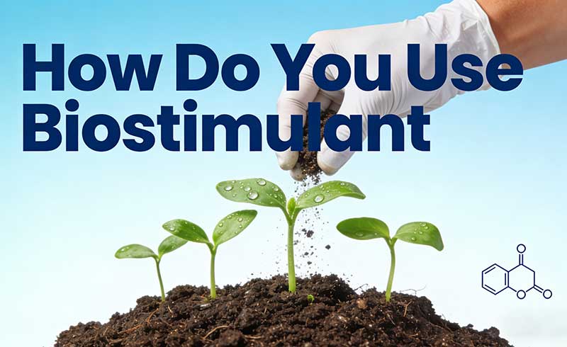 Comment utiliser le biostimulant