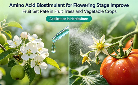 El bioestimulante de amino&aacute;cidos para la etapa de floraci&oacute;n mejora la tasa de cuajado de frutos en &aacute;rboles frutales y cultivos de hortalizas.jpg