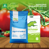 Fertilizzante NPK ad alto contenuto di fosforo e potassio